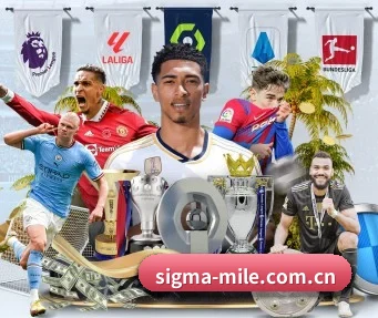 sigma-mile.com.cn APP 界面（m6）